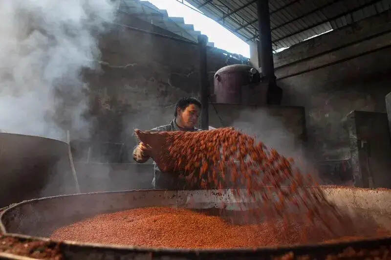 下沙和造沙,您真的分得清吗?